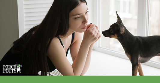 A young woman and her Chihuahua sit on a window ledge