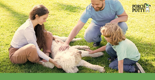 A family sitting on the grass outside, petting a large fluffy dog as it lays down and enjoys the attention.