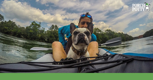 A French Bulldog sits in a kayak with its owner