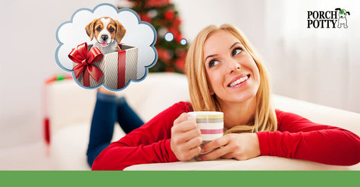 Woman smiling and holding a coffee cup, thinking about a puppy as a Christmas gift.