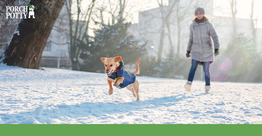 A dog wearing a warm coat joyfully runs through the snow, with its owner walking in the background.