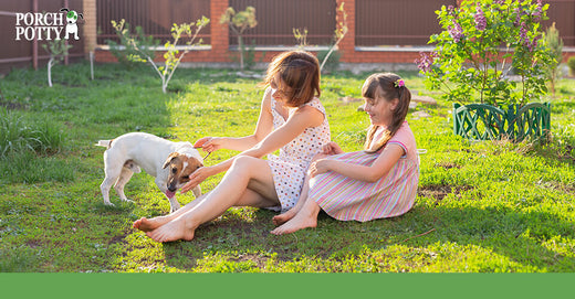 Two little girls play with their Jack Russell Terrier puppy in their yard