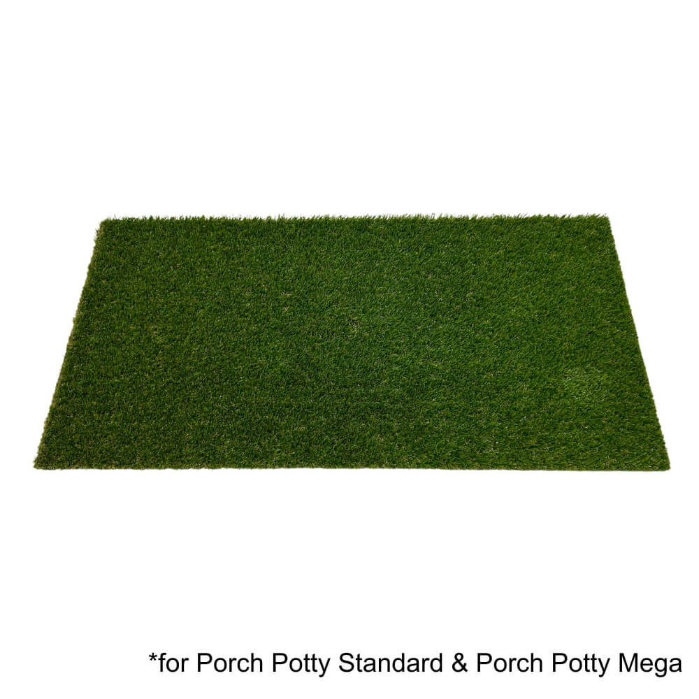 Artificial deals grass pad