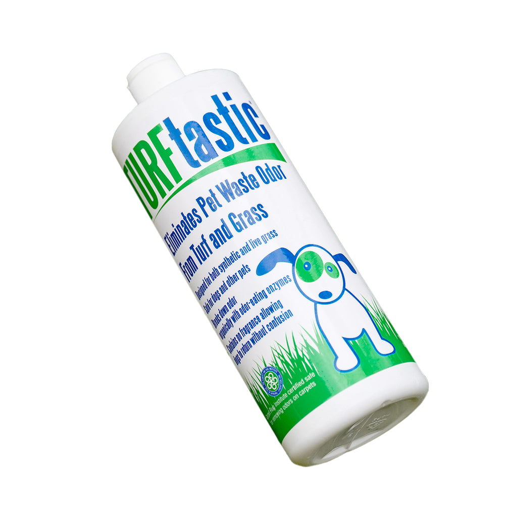 Dog urine smell eliminator best sale